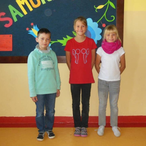 pokaż obrazek - 