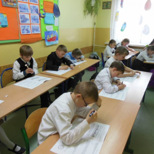 pokaż obrazek - 