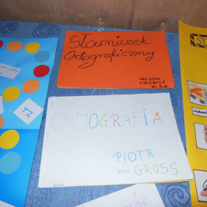 pokaż obrazek - 