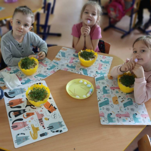 pokaż obrazek - Rzeżucha – wysiew, pielęgnacja i ozdabianie