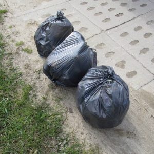 pokaż obrazek - Udział w wiosennej akcji Sprzątania Świata