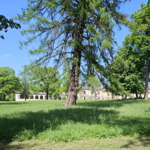 pokaż obrazek - Z wizytą w Zamościu, Zwierzyńcu i w Szczebrzeszynie