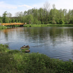 pokaż obrazek - Z wizytą w Zamościu, Zwierzyńcu i w Szczebrzeszynie