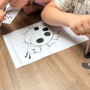 pokaż obrazek - Ogólnopolski Projekt Edukacyjny 