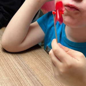 pokaż obrazek - Ogólnopolski Projekt Edukacyjny 