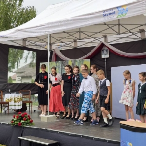 pokaż obrazek - 