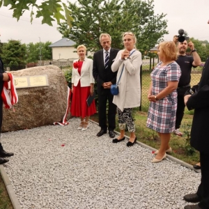 pokaż obrazek - 