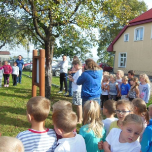 pokaż obrazek - 