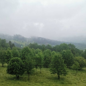 pokaż obrazek - Wycieczka do Zakopanego