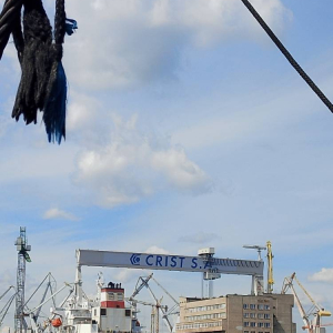pokaż obrazek - Rejs po Porcie Gdynia