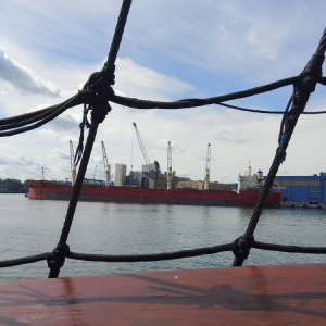 pokaż obrazek - Rejs po Porcie Gdynia