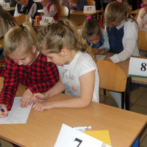 pokaż obrazek - 