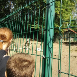 pokaż obrazek - Wycieczka do ZOO