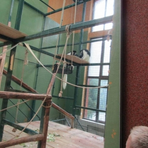 pokaż obrazek - Wycieczka do ZOO
