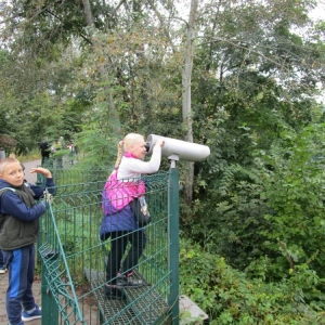 pokaż obrazek - Wycieczka do ZOO