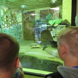 pokaż obrazek - Wycieczka do ZOO