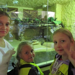 pokaż obrazek - Wycieczka do ZOO