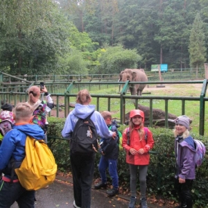 pokaż obrazek - Wycieczka do ZOO