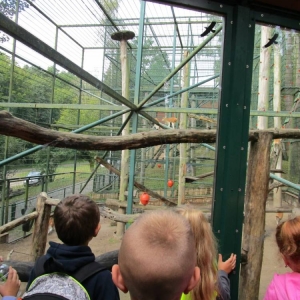 pokaż obrazek - Wycieczka do ZOO