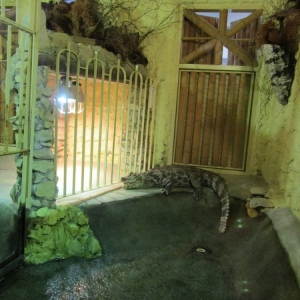 pokaż obrazek - Wycieczka do ZOO
