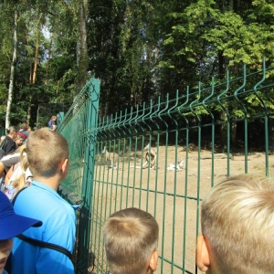 pokaż obrazek - Wycieczka do ZOO