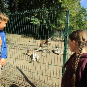 pokaż obrazek - Wycieczka do ZOO