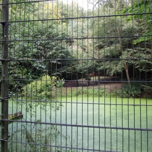 pokaż obrazek - Wycieczka do ZOO