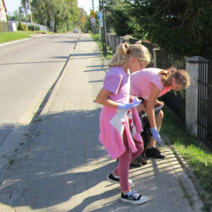 pokaż obrazek - Udział w akcji Sprzątania Świata