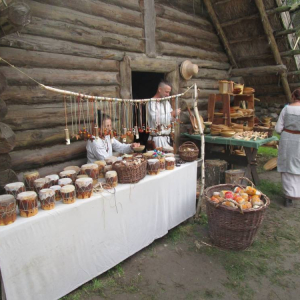 pokaż obrazek - Biskupin
