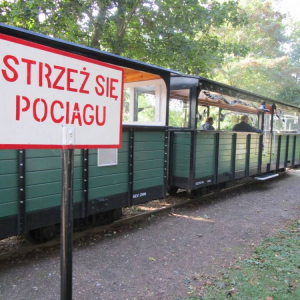 pokaż obrazek - Biskupin