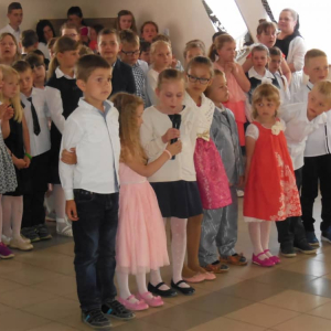 pokaż obrazek - 
