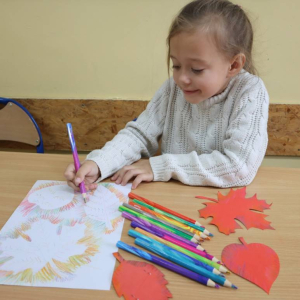 pokaż obrazek - Jesienne liście
