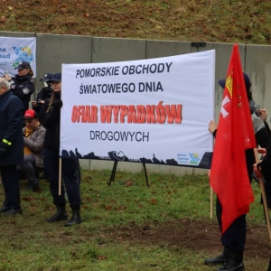 pokaż obrazek - 