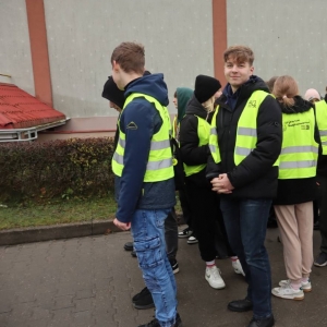 pokaż obrazek - 