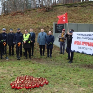 pokaż obrazek - 
