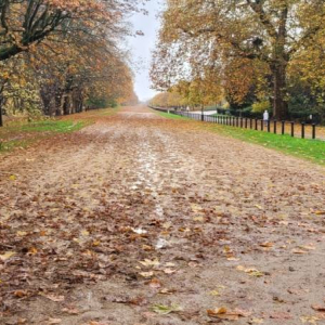 pokaż obrazek - Wycieczka do Londynu