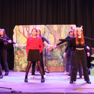 pokaż obrazek - Występ grupy teatralnej