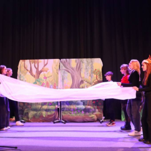 pokaż obrazek - Występ grupy teatralnej