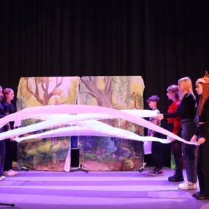 pokaż obrazek - Występ grupy teatralnej