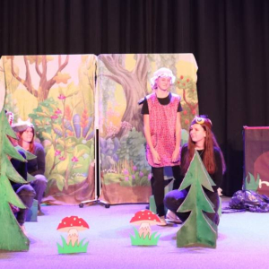 pokaż obrazek - Występ grupy teatralnej