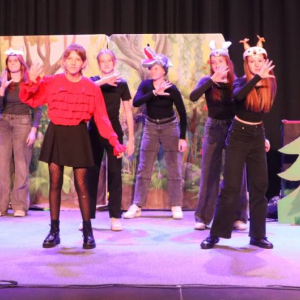 pokaż obrazek - Występ grupy teatralnej