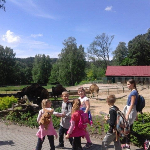 pokaż obrazek - 