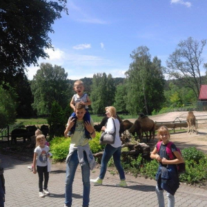 pokaż obrazek - 