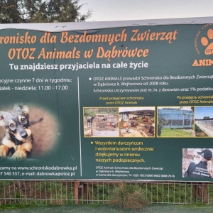 pokaż obrazek - 