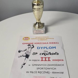 pokaż obrazek - III miejsce w Gminnych Zawodach Sportowych w Piłce Ręcznej 