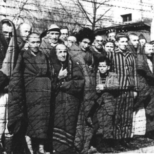 pokaż obrazek - Międzynarodowy Dzień Pamięci o Ofiarach Holokaustu