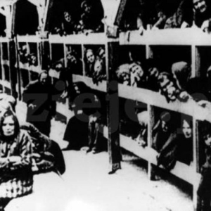 pokaż obrazek - Międzynarodowy Dzień Pamięci o Ofiarach Holokaustu
