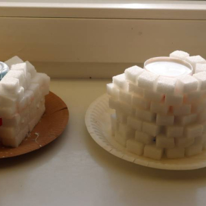 pokaż obrazek - Igloo z kostek cukru