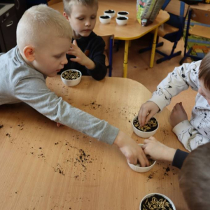 pokaż obrazek - Lekcja przyrody i tradycji w oddziale przedszkolnym
