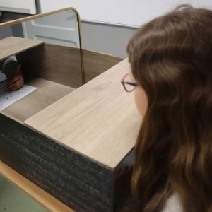 pokaż obrazek - Niebieskie Igrzyska 2025 - część edukacyjna